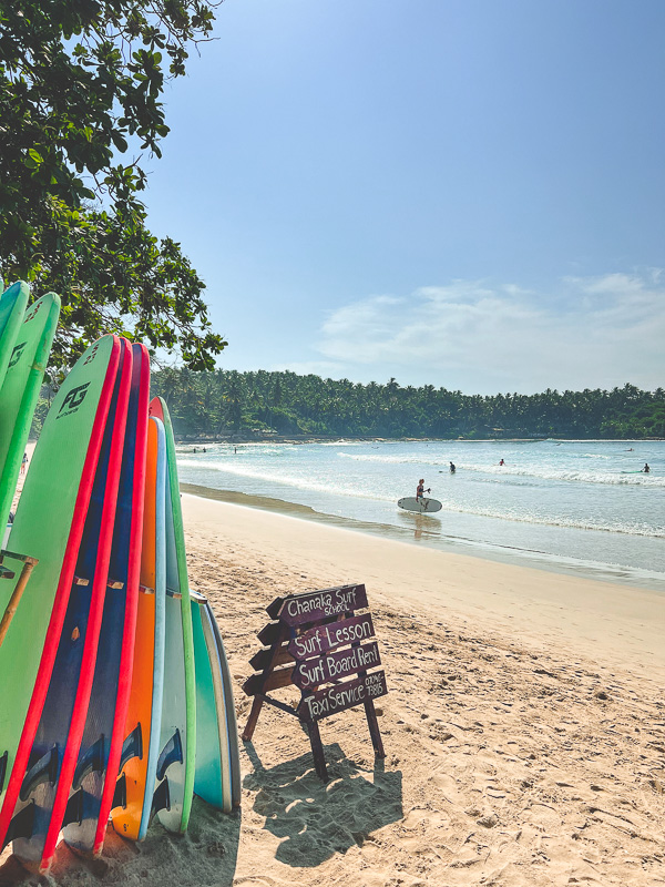 Surfboards for rent on a sunny morning on hiriketiya beach near to The Nest Sri Lanka, Luxury family villa.