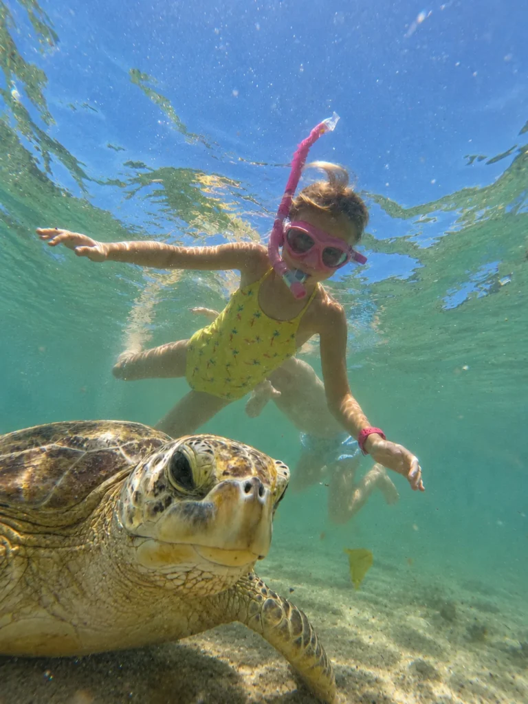 Child snorkelling alongside a Sri Lankan sea turtle.